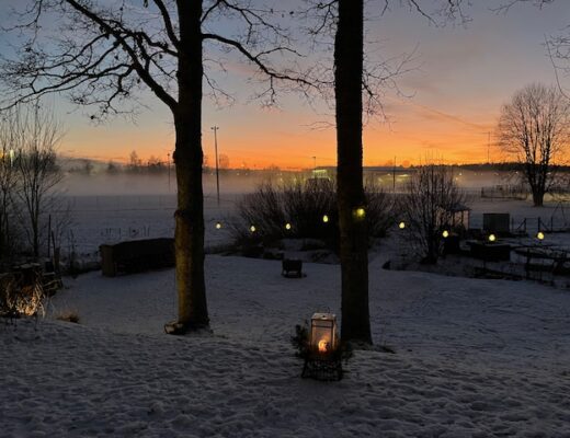 Kuvassa luminen pihamaisema, auringon kajastus näkyy taustalla.